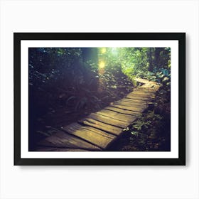 Olympic National Park Forest Dreams Art Print