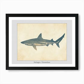 Pelagic Thresher Shark Grey Silhouette 4 Poster Art Print