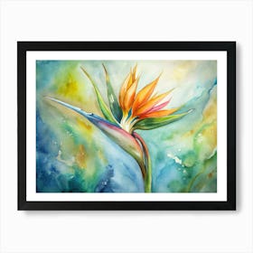 Bird Of Paradise 2 Art Print