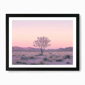 Lone Tree In The Desert Art Print