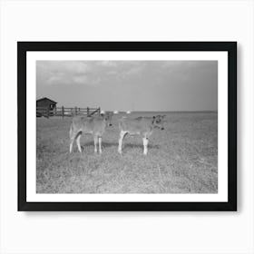Untitled Photo, Possibly Related To Dairy Barns, Lake Dick Project, Arkansas By Russell Lee Art Print