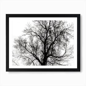 Silhouette Of Bare Tree Black And White 2 Art Print