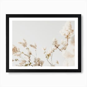 Hydrangea Flowers Art Print