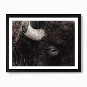 Bison Profile Art Print