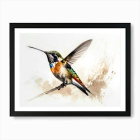 Kolibri Hummingbird - Water Color Painting 9 Art Print