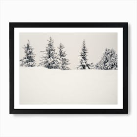 Winter Firs On Hill Art Print