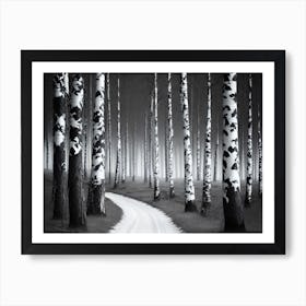 Birch Forest 74 Art Print