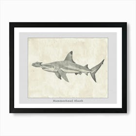 Hammerhead Shark Grey Silhouette 11 Poster Art Print