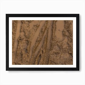 Texture Of Wet Brown Mud With Bicycle Tyre Tracks 1 Art Print