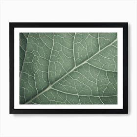 Green Leaf Veins Art Print