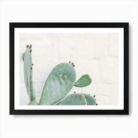 Puglia, Italy I Cactus Angel wings wild boho green in front of white wall with Italian architecture with minimalist geometric travel photography in retro vintage summer pastel dolce vita aesthetic Art Print