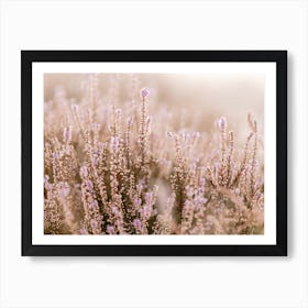 Dreamy heather purple flowers bright Art Print