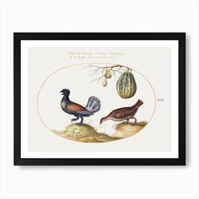 Pair Of Wood Grouse With A Melon And Pears (1575–1580), Joris Hoefnagel Art Print