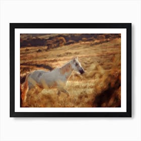 Horse Running Through Field Art Print