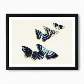 Vintage Butterfly, Cho Senshu (6) Art Print