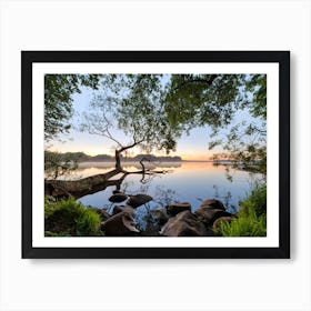 Lake View Art Print