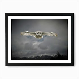 Owl flying Art Print