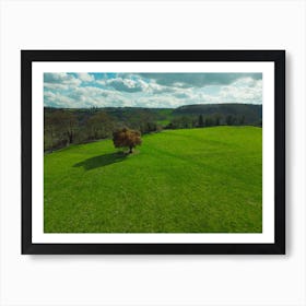 Lone Tree In The Field Art Print