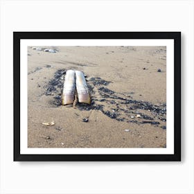 Shells On The Beach 1 Art Print