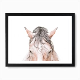 Horse's Head Art Print