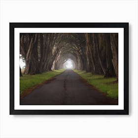 Road Through the Tree Tunnel Art Print