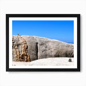 Chief Penguin On A Rock, Cape Town (Africa Series) Art Print