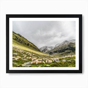 Grazing Sheep In The Mountains Art Print