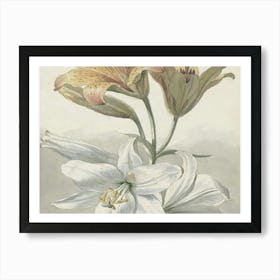 Lily Of The Valley 10 Art Print