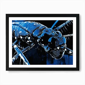 Blue Ant Art Print