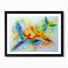 Parrots in flight Art Print