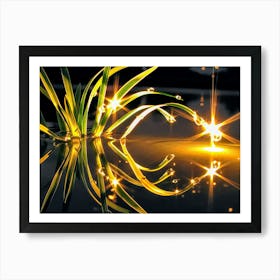 Water Lily Art Print