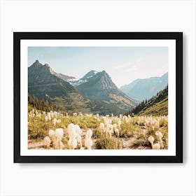 Dried Grass On Mountainside Art Print