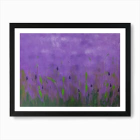 Lavender Field Art Print