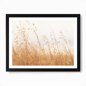 Oat Grass No 1 Art Print