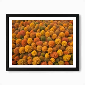 Aerial View Of Autumn Trees Art Print