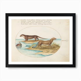 Quadervpedia Animals And Reptiles, Joris Hoefnagel (5) Art Print