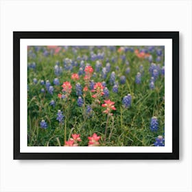 Texas Bluebonnet Field II on Film Art Print