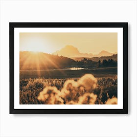 Grand Teton Mountain Wildflower Sunset Art Print