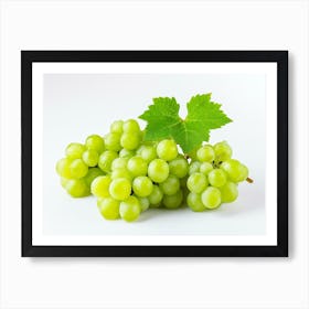 Grapes On White Background Art Print