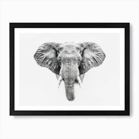 Elephant Head Art Print