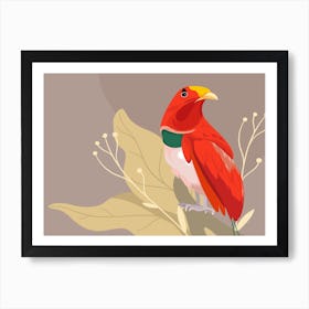 Red Parrot Art Print