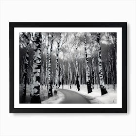 Birch Trees In Winter 3 Art Print