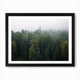 Gloomy Forest Art Print