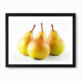 Three Pears Isolated On White 1 Art Print