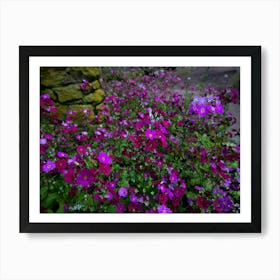 Purple Flowers Art Print