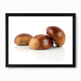 Chestnuts 1 Art Print