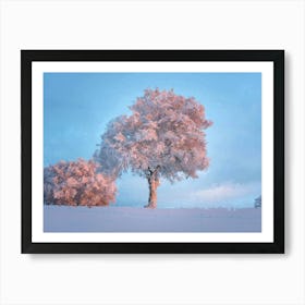 Winter Morning, Frost Tree, Oil Painting Art Print