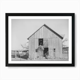 Son Of Pomp Hall, Tenant Farmer, Carrying Hay Into Barn To Feed Mule While His Brother Pitches Down The Hay From Art Print
