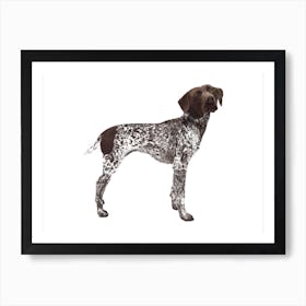 German Shorthaired Pointer Art Print