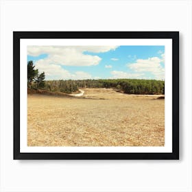 Rural Area On Summer Day Art Print